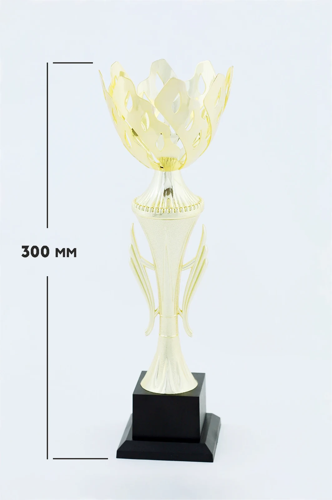 Кубок ИК0015