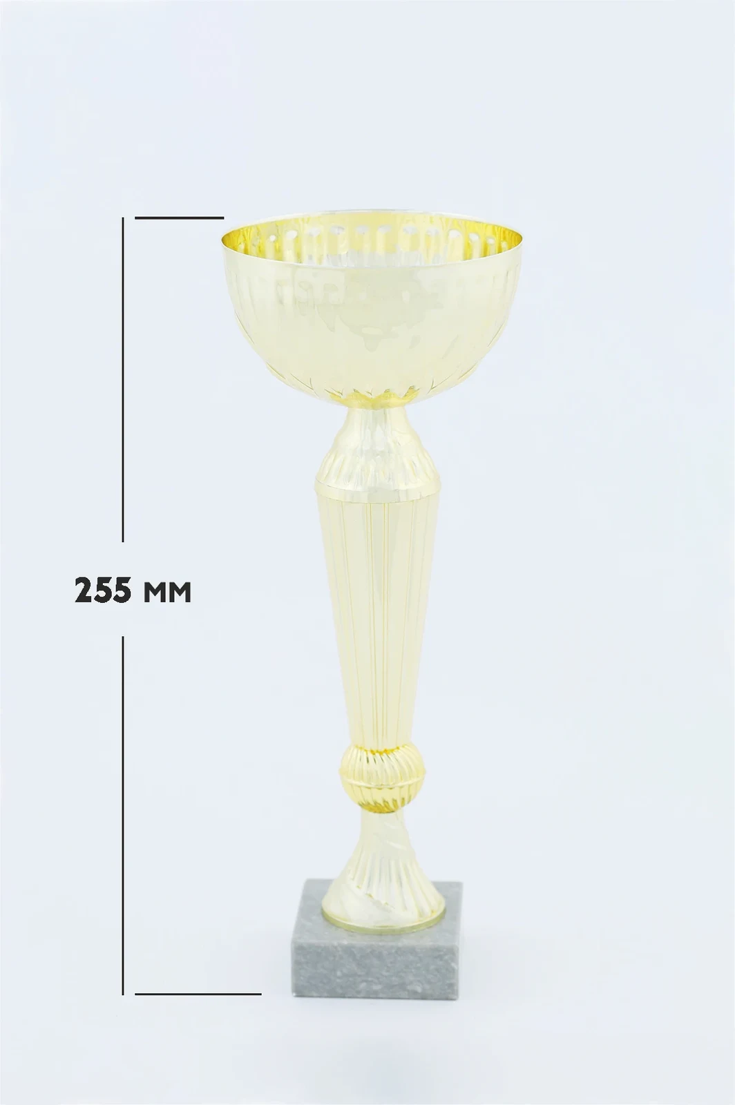 Кубок ИК0019