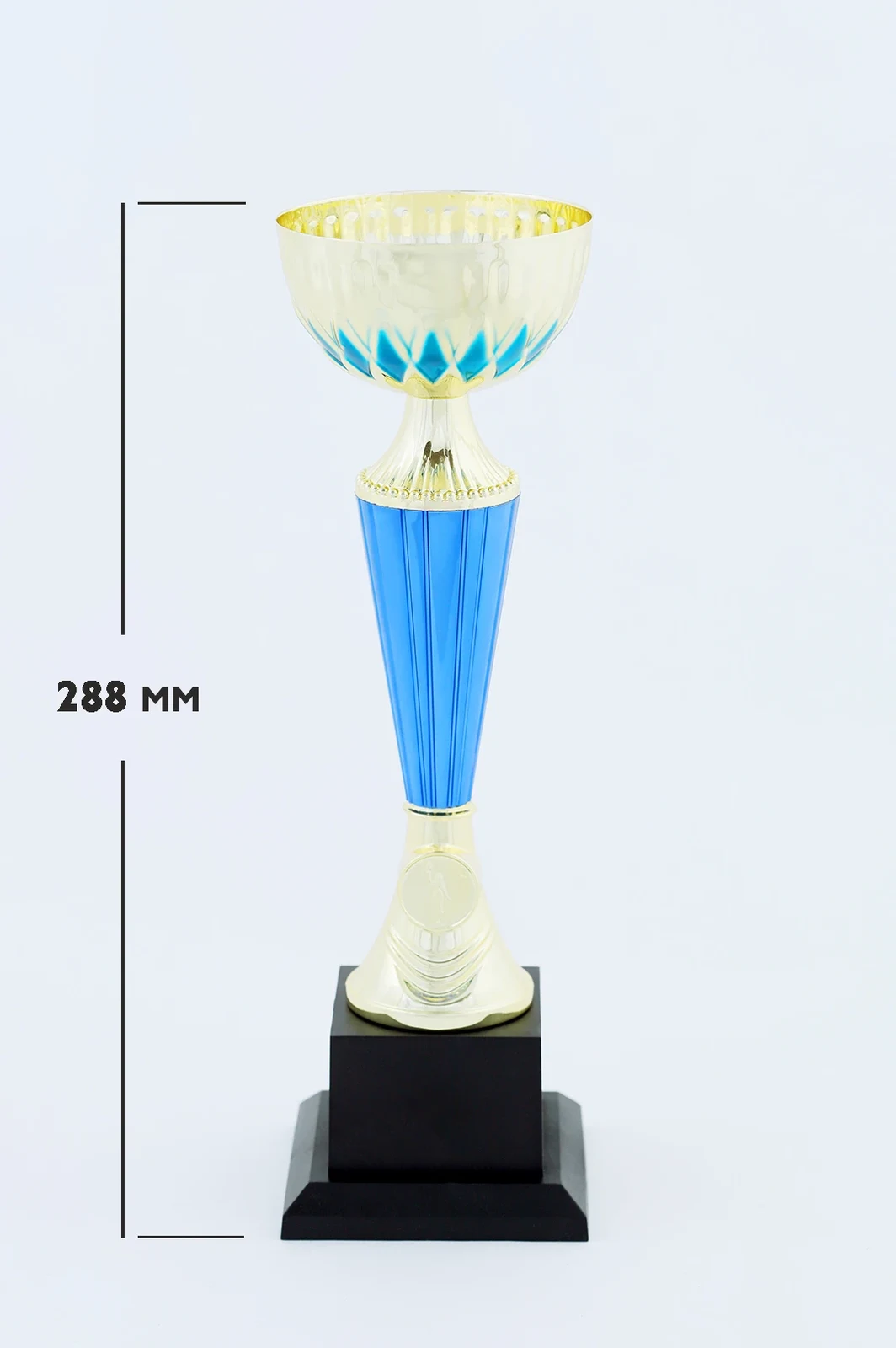 Кубок ИК0012