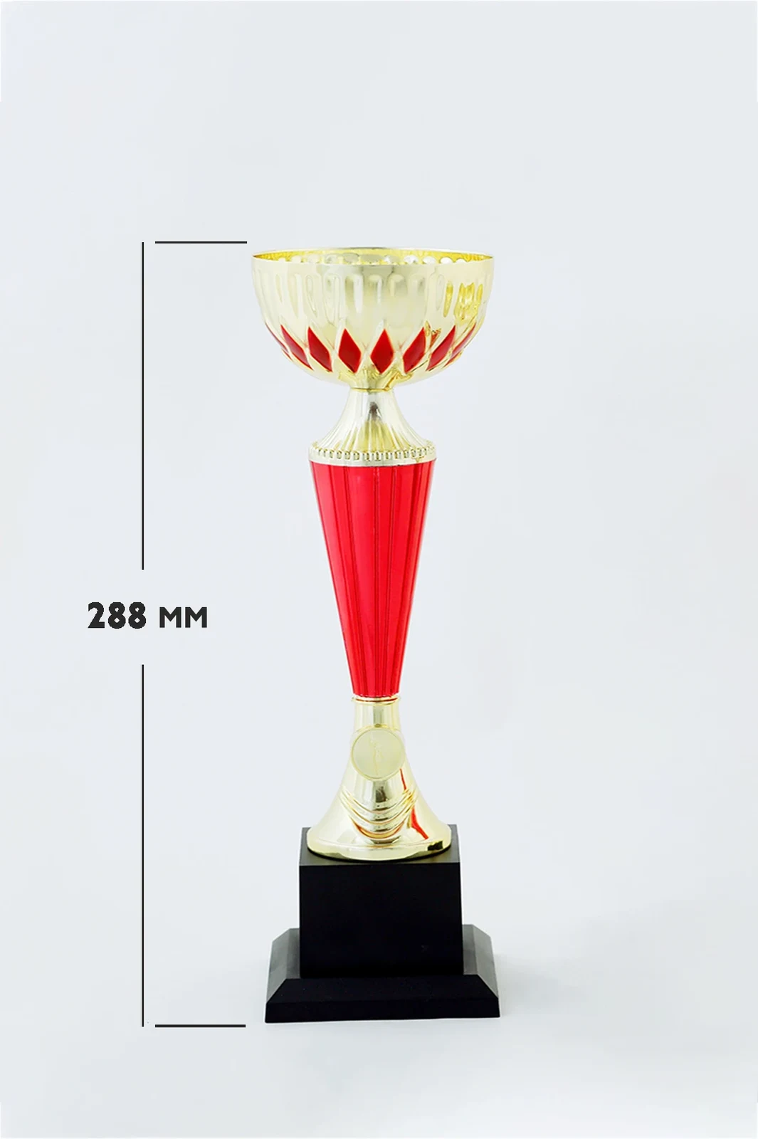 Кубок ИК0011