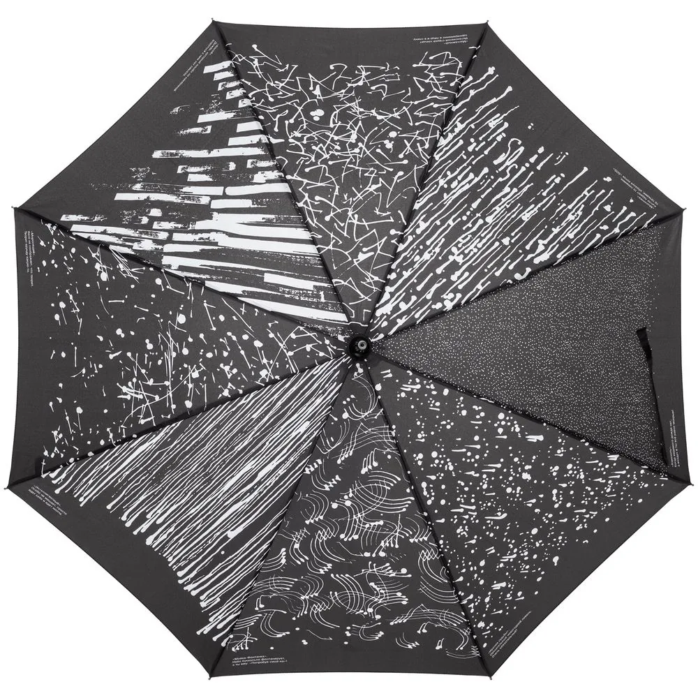 Зонт-трость Types Of Rain, черный
