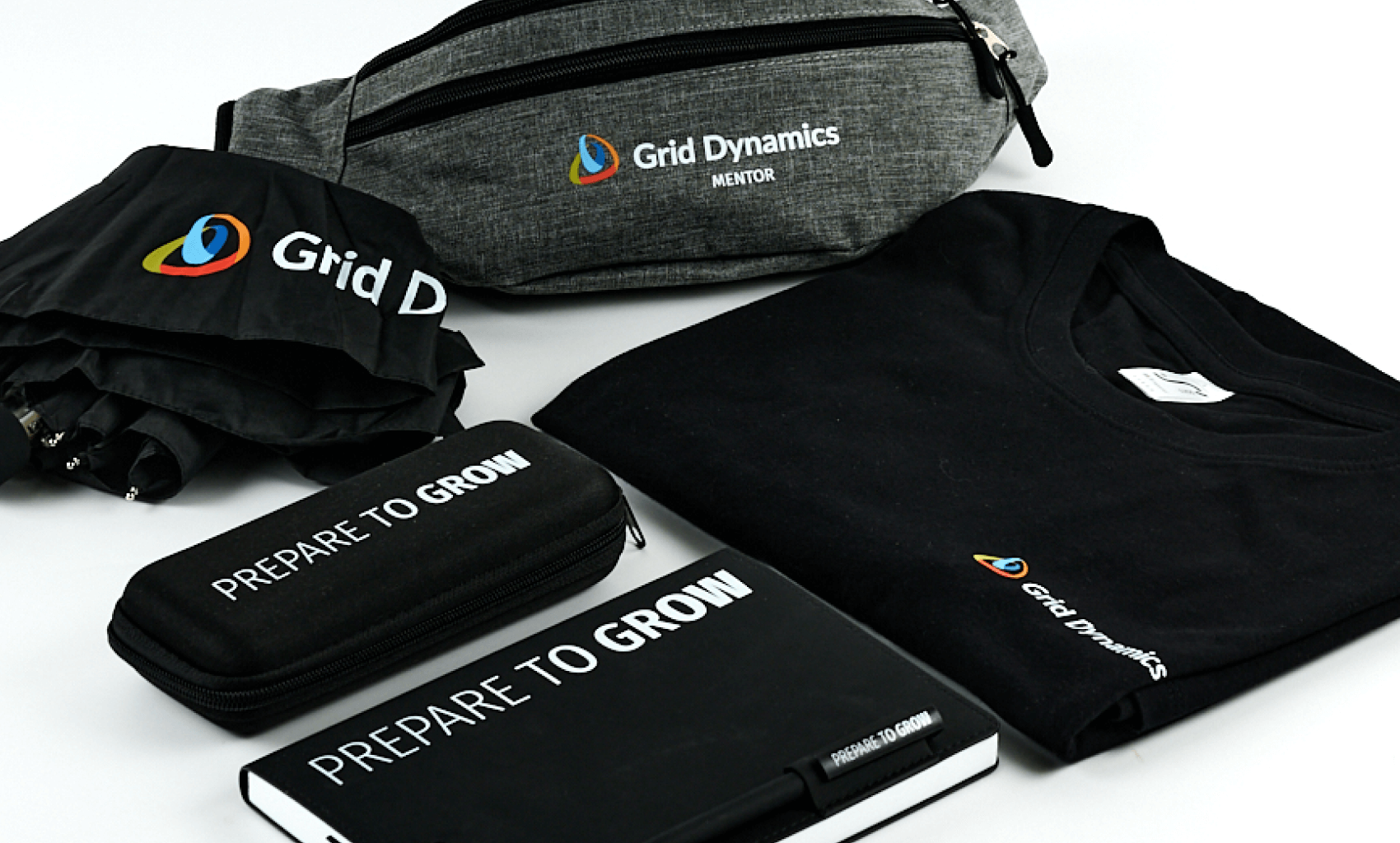 Пенал из welcome pack Grid Dynamics