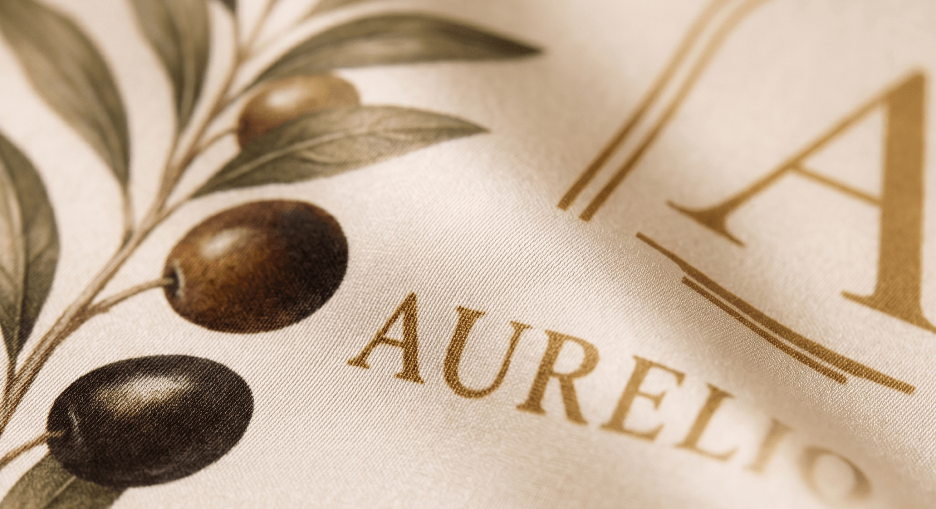 Оформление и мерч для AURELIO CASA: фотография реализованного проекта 10